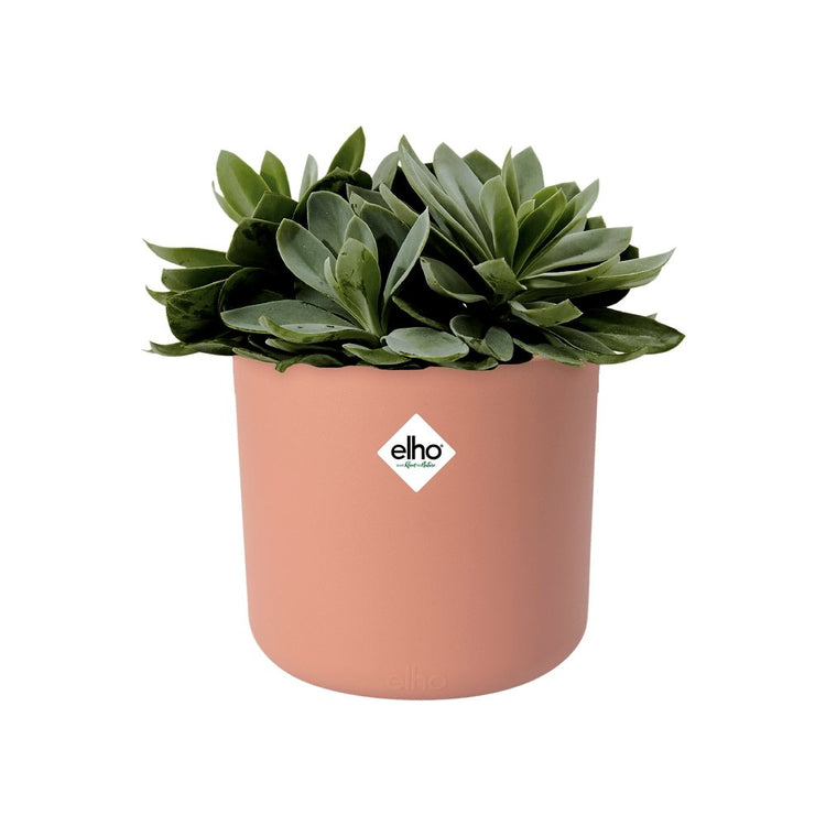 #product-name# - #shop-name#