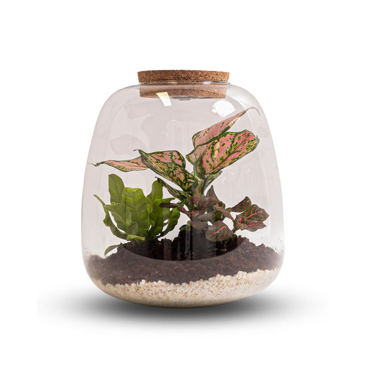 #product-name# - #shop-name#