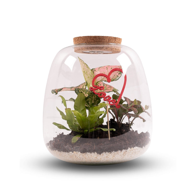 #product-name# - #shop-name#