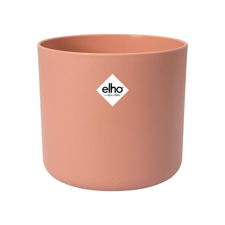 #product-name# - #shop-name#