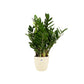 #product-name# - #shop-name#
